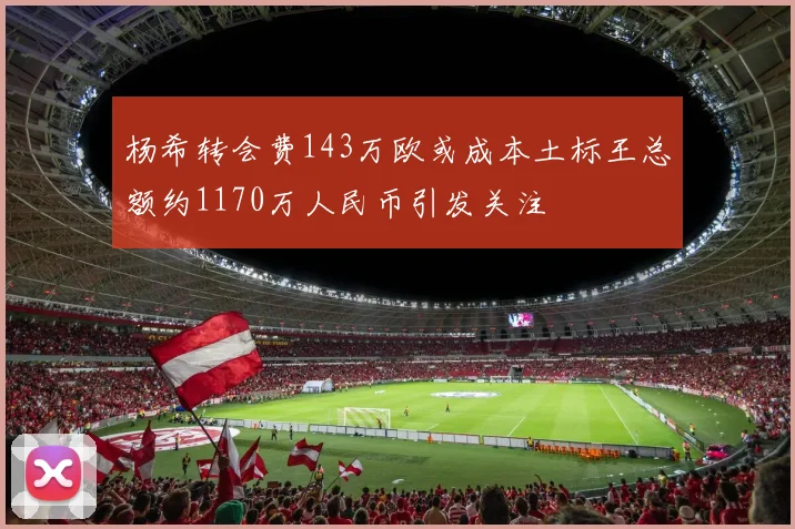 杨希转会费143万欧或成本土标王总额约1170万人民币引发关注