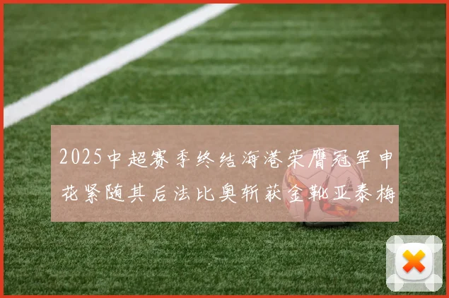 2025中超赛季终结海港荣膺冠军申花紧随其后法比奥斩获金靴亚泰梅州遗憾降级