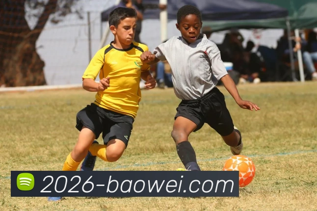 宝威体育APP 体育赛事宣传图